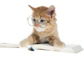webmaster