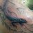 user02441dn